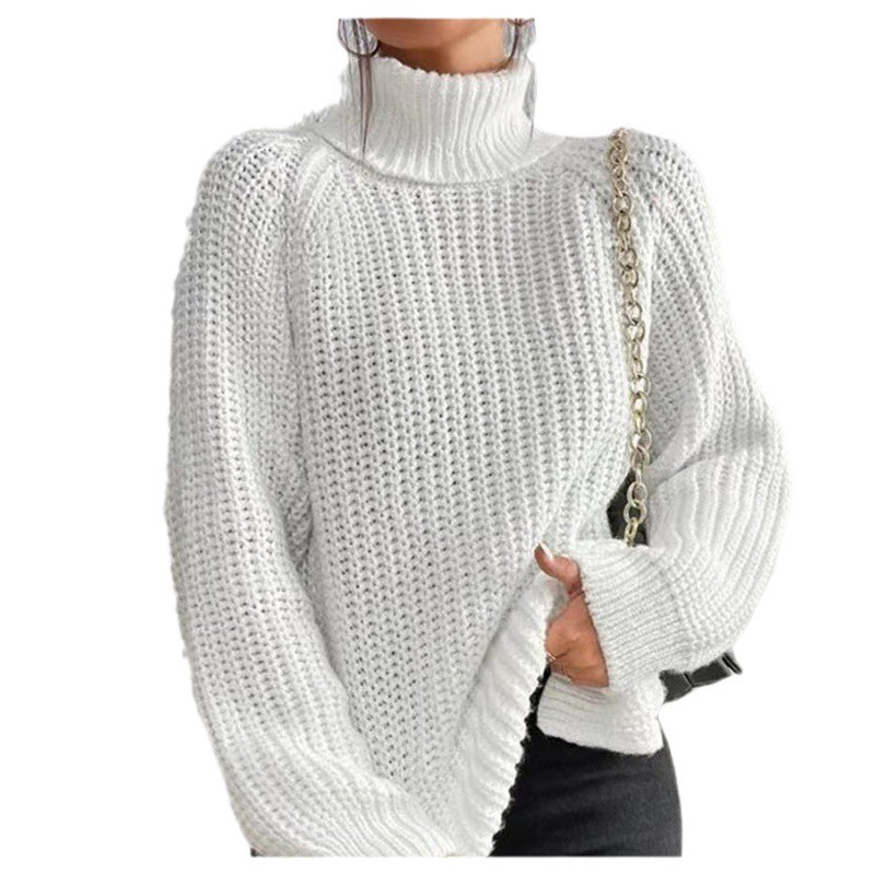 Women's Winter Clothing Turtle - đánh giá và giá Winter Clothing For Women