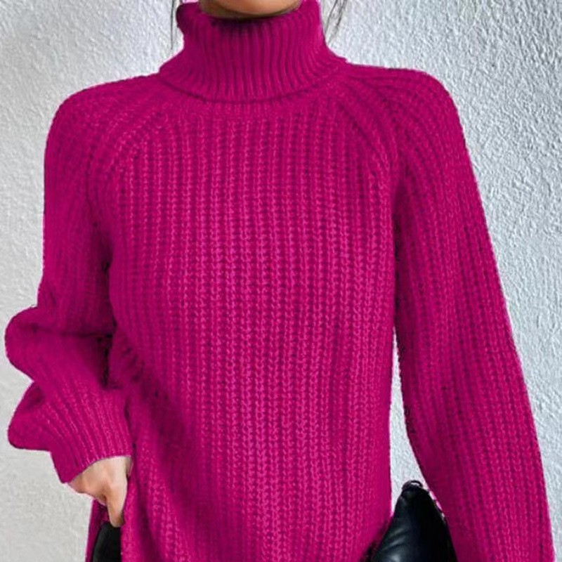 Women's Winter Clothing Turtle - đánh giá và giá Winter Clothing For Women