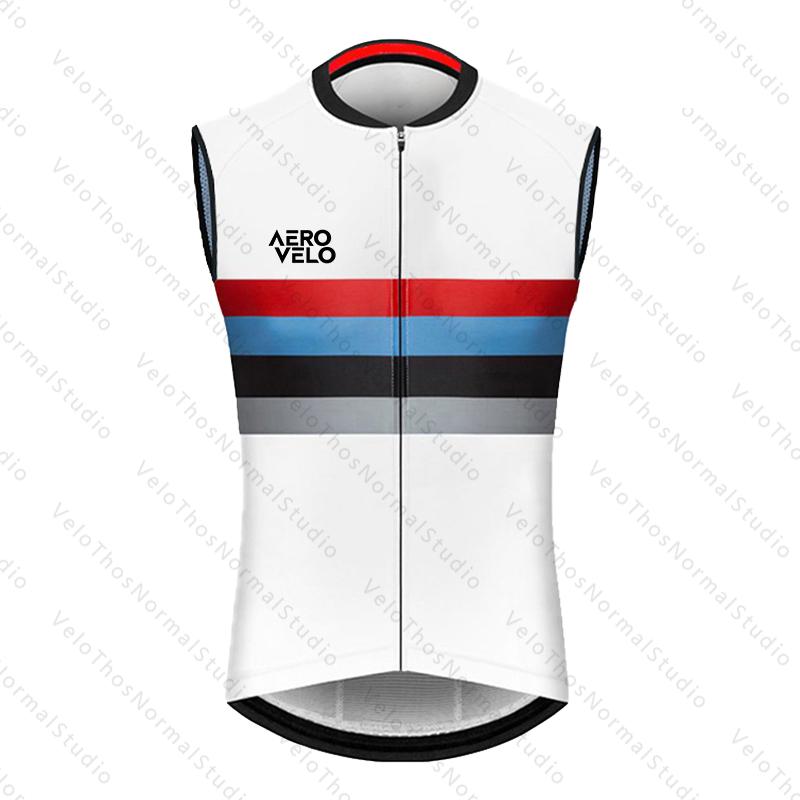 Men's Cycling Vest Run Vest Ro - đánh giá và giá Padded Vest Gilet
